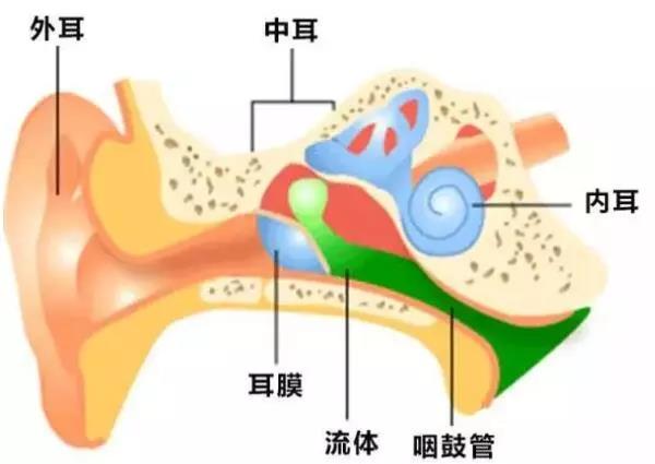 重庆仁品耳鼻喉医院