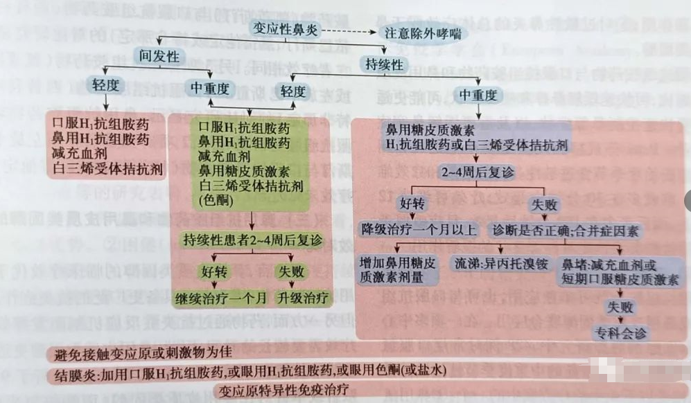 过敏性鼻炎诊疗方案