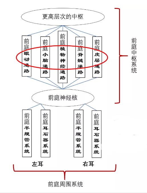 重庆眩晕医院哪家好